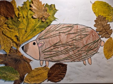 Maja Borecka, „Iglasty jeż”, Szkoła Podstawowa im. Marii Konopnickiej w Lipinach, 